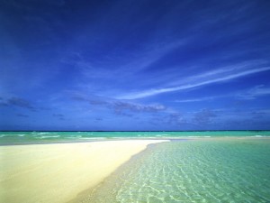 Siesta Key Beach